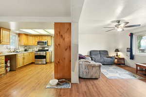 Kitchen with appliances with stainless steel finishes, a sink, light wood-type flooring, and healthy amount of natural light