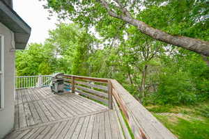 Deck with a grill