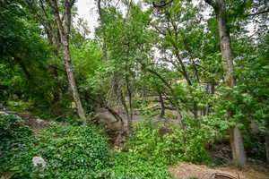 View of nature