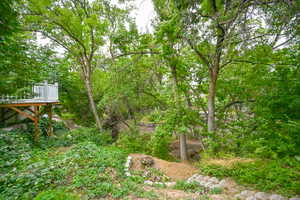 View of yard with a wooden deck