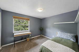Bedroom featuring carpet flooring, baseboards, and a textured ceiling