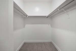 Walk in closet featuring carpet