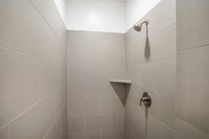 Bathroom view of a tile shower