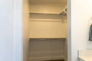 View of walk in closet