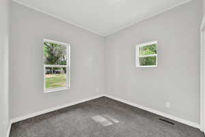 Spare room featuring healthy amount of natural light, dark colored carpet, baseboards, and ornamental molding
