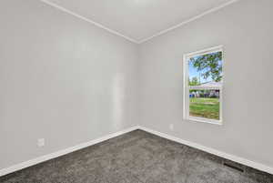 Empty room featuring crown molding, baseboards, dark carpet, and a textured ceiling