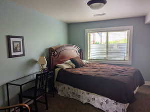 Basement bedroom features walk-in closet