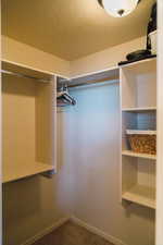 View of walk-in closet
