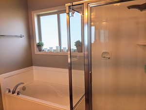 Master bathroom featuring a shower stall and a separate tub