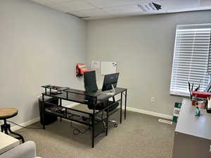 Carpeted office with baseboards and a drop ceiling