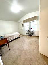 Bedroom with carpet floors, a textured ceiling, and vaulted ceiling