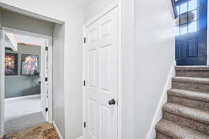 Stairs with baseboards and carpet flooring