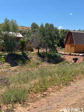 View of yard featuring a barn and an outdoor structure