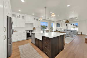 Kitchen with white cabinets, pendant lighting, glass insert cabinets, a raised ceiling, and stainless steel appliances