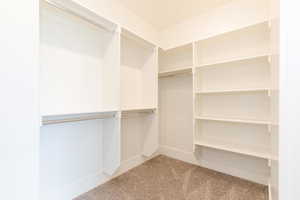 Spacious closet with carpet flooring