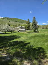 View of green lawn with a rural view
