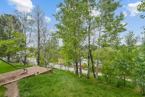 View of grassy yard