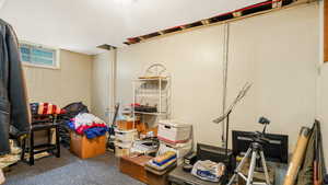 Below grade area featuring carpet