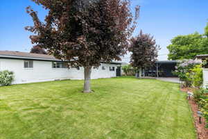 View of yard with a patio area