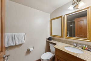 Bathroom featuring toilet, vanity, vaulted ceiling, and a shower