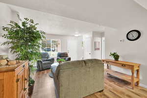 Living area with light wood finished floors and a textured ceiling