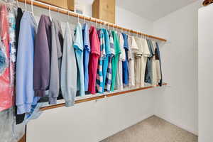 Spacious closet featuring carpet flooring