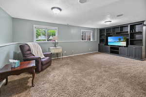 Sitting room featuring a textured ceiling, carpet flooring, and baseboards