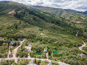 Aerial view of a mountainous background and a heavily wooded area