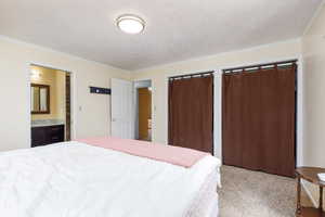 Carpeted bedroom with crown molding and connected bathroom