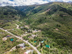 Drone / aerial view of a heavily wooded area and a mountainous background