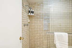 Bathroom featuring tiled shower
