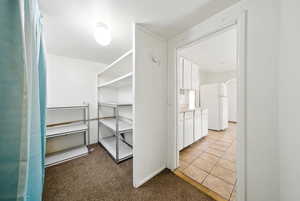 Spacious closet with light carpet