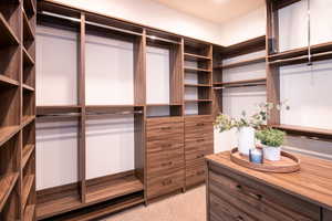 View of walk in closet