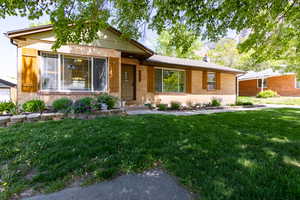 View of front of home featuring a front lawn, brick siding, and shutters
