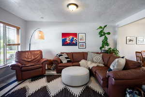 Carpeted living room with  large windows, white walls, and a textured ceiling