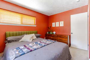 Bedroom with carpet floors and a textured ceiling