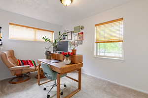 Carpeted office space featuring lots of natural light
