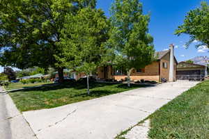 View of front yard featuring a large driveway and mature trees