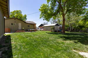 View of backyard and mature trees