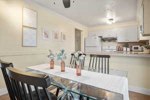 Dining room with crown molding, ceiling fan, a textured ceiling, and baseboards