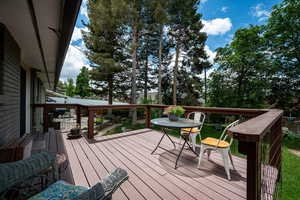 View of wooden deck