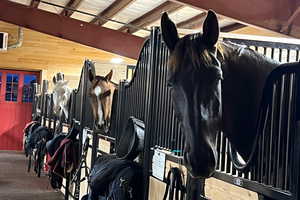 The ten stalls are all open-fåront and a comfortable 12-by-12-foot in size.
