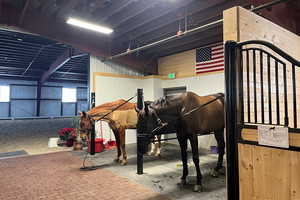 The stable is equipped with two grooming bays complete with a divider and cross ties.