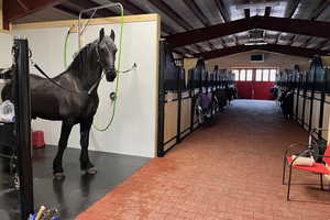 The grooming bays feature hot and cold-water equine shower.