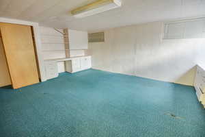 Below grade area with carpet floors and a desk