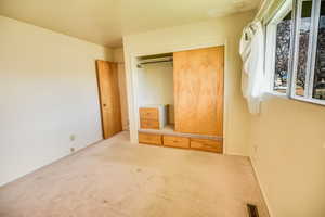 Unfurnished bedroom featuring carpet flooring and a closet