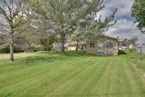View of grassy yard