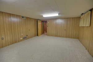 Finished below grade area with carpet flooring and wooden walls