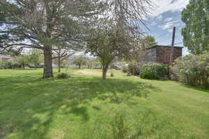 View of grassy yard