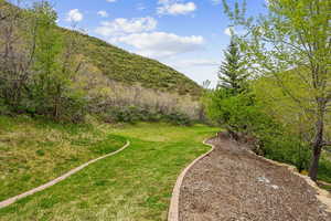 View of green lawn with a mountain view